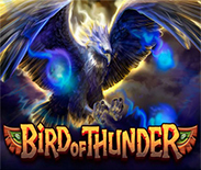 Bird of Thunder